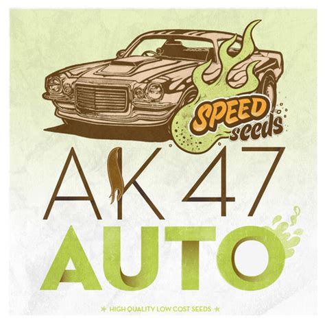 Auto AK 47 (par Speed Seeds) :: Info de Variété