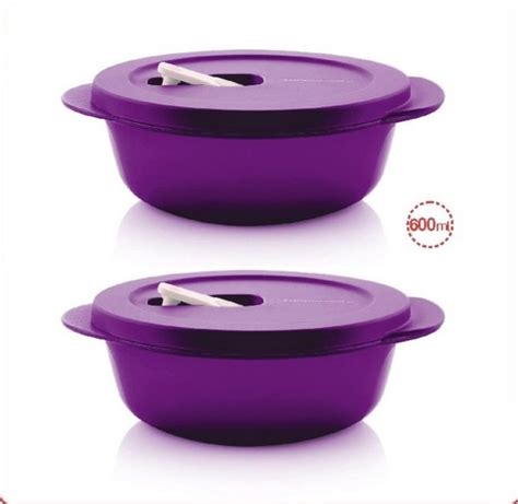 Plastic Tupperware Microwave Safe Container, Capacity: 600ml at Rs 490/piece in New Delhi