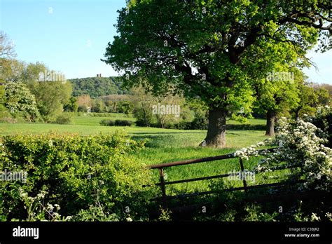 Cheshire Countryside Beeston England UK UNited Kingdom EU European Union Europe Stock Photo - Alamy