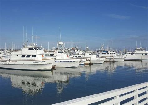 H & M Landing San Diego Whale Watching And Sportsfishing