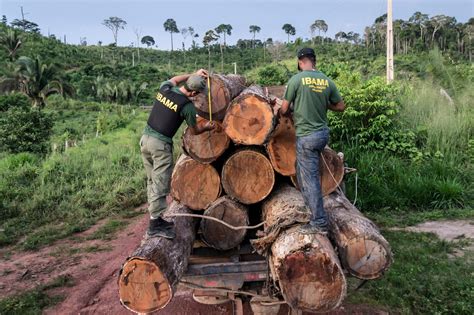 Estados Unidos podría tomar medidas contra Perú por la deforestación de ...