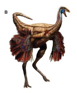 Evolutionary History of the Chicken (pigeon, and other birds) + Domestication – The Chicken ...