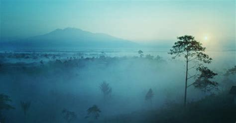 Bukit Barisan National Park II