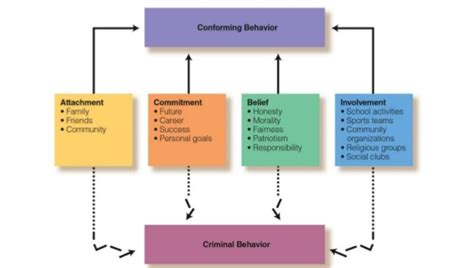 Social Control Theory Examples – StudiousGuy