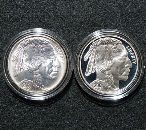 2001 American Buffalo Commemorative Coins (2-Coin Set) - Numismax