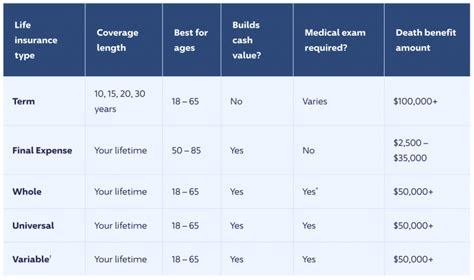 What are the different types of life insurance? - Carney Insurance Services