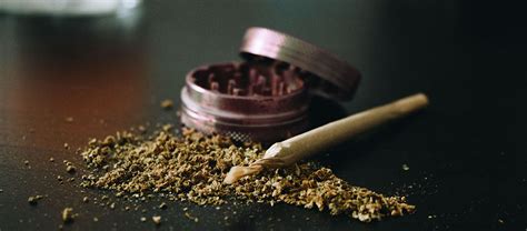 How to Grind Weed Without a Grinder - DankCity