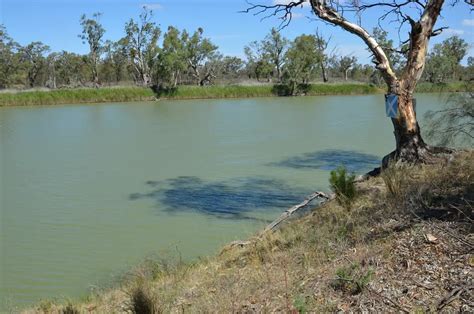 [EXPERT REVEALS] Bass Fishing In Muddy Water Secrets - 27 Tips & Mistakes To Avoid Today ...