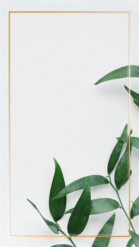 Gold frame over green leaves on a white wall | premium image by rawpixel.com / marinemynt Leaves ...