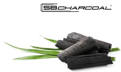 Bamboo Charcoal | Charcoal Powder and Granules | Vinegar