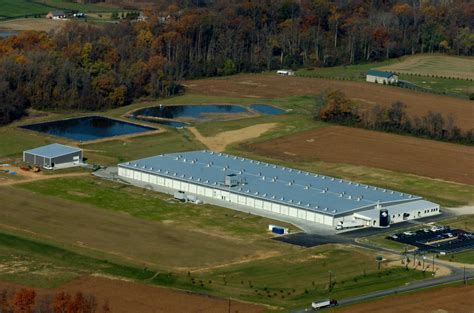 Starting A Mushroom Farm - Mushroom Farm Near Me