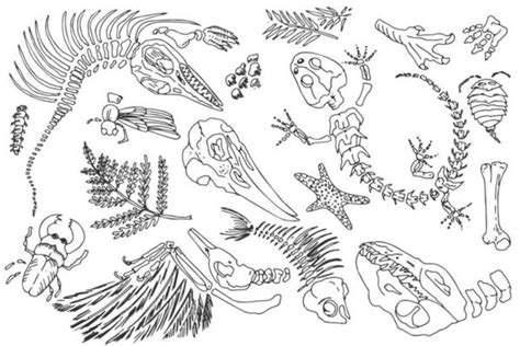 Skeleton Rock Hand Vector Art, Icons, and Graphics for Free Download