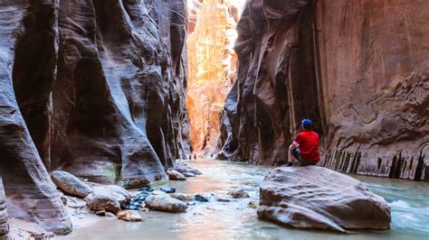 Best day hikes in Zion National Park: 7 unforgettable canyon hikes | Advnture