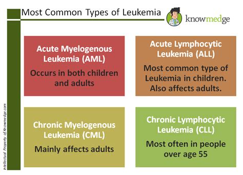 Internal Medicine Topic Review: Leukemia : USMLE / Internal Medicine ...