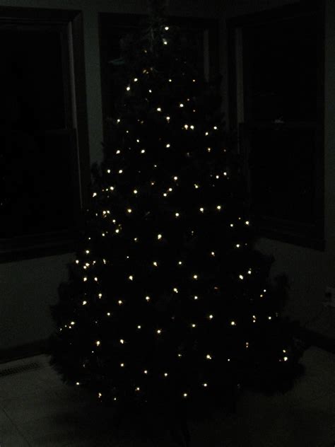 A Practical Pair: Christmas Tree Net Lighting