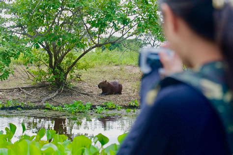 Deep in the Brazilian Pantanal Wetland | Eryn On Earth