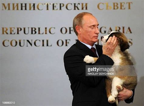 329 Vladimir Putin Dog Stock Photos, High-Res Pictures, and Images - Getty Images