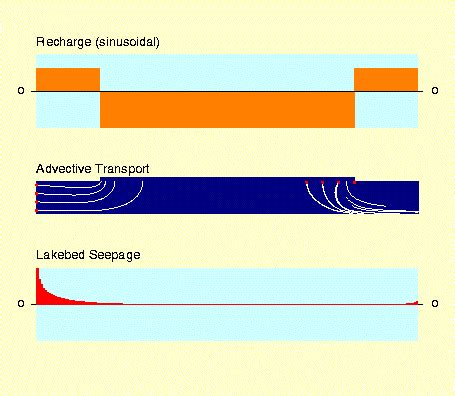 Periodic Forcing of Surface Water-Groundwater Interaction