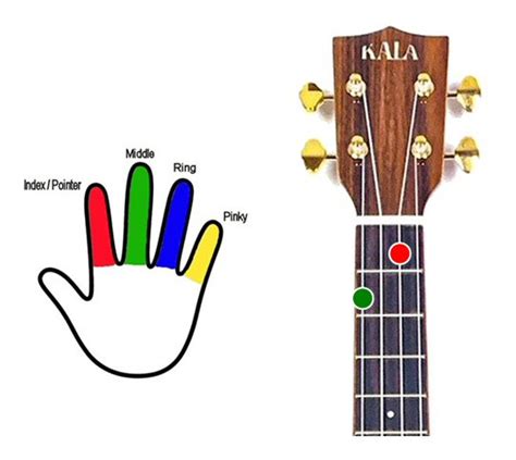 Basic Ukulele Chords for Beginners | Ukulelemad