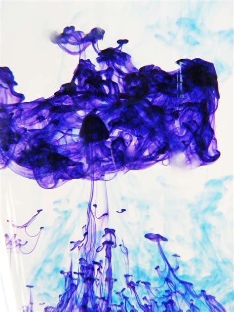 Ink in water. Photograph by Lexi Seddon. | Ink in water, Photographer ...