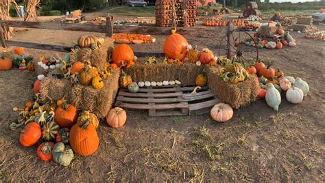 6 Amazing Pumpkin Patches Near Austin Everyone Can Enjoy | UrbanMatter ...