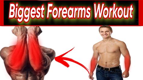 Biggest Forearms Workout Technique || Forearms Exercises at gym - YouTube