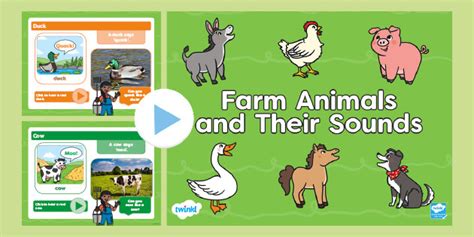 Farm Animals And Their Sounds For Toddlers PowerPoint - EYLF