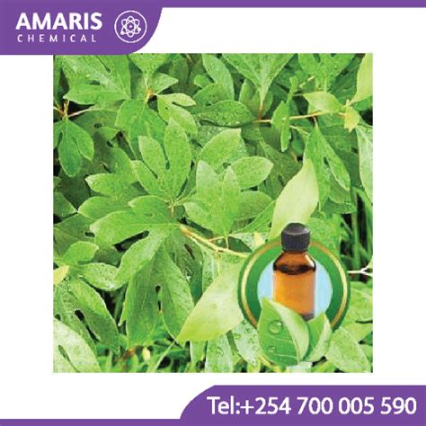 Sassafras Oil - Amaris Chemical Solutions