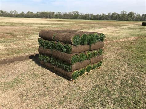 Sod Farm Tour - Easton Sod Farms Inc.