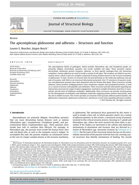 (PDF) The apicomplexan glideosome and adhesins – Structures and function