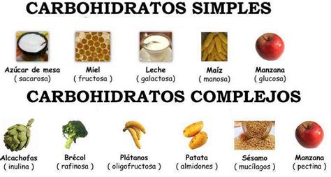 Tipos De Carbohidratos Simples - fiteranmapa