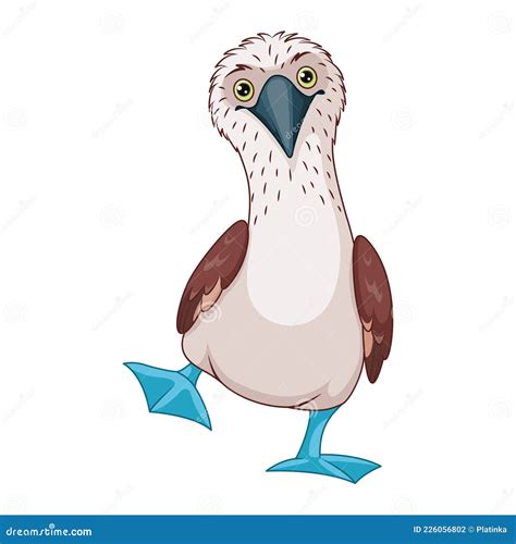 Blue Footed Booby Vector Cartoon Illustration | CartoonDealer.com ...