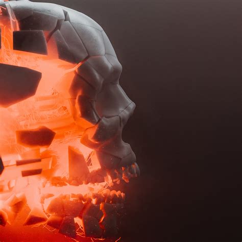Tom Pleysier - Fracture Skull