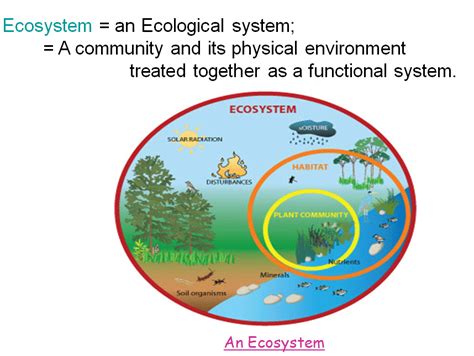 Durg Discovery Health Care System Ecosystme Diagram