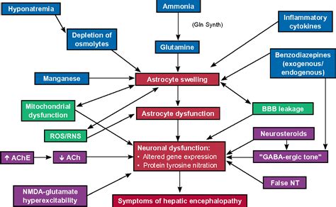 Current concepts in the pathophysiology and management of hepatic ...