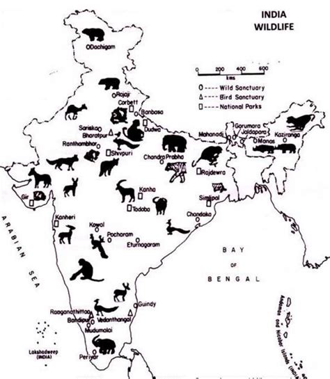 India: Wildlife & Biodiversity Hotspots