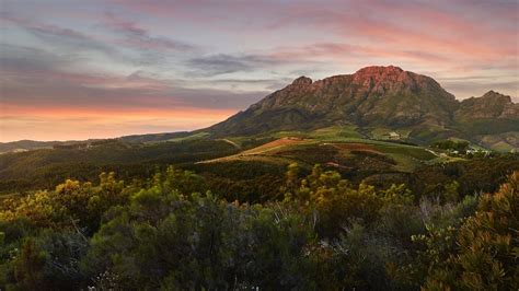 Tokara Wine Estate included in World's Best Vineyards Top 50 2022