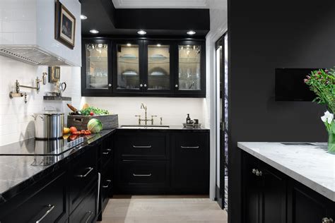 Modern Black Kitchen Cabinets With White Countertops / Kitchen cabinets have to complement other ...