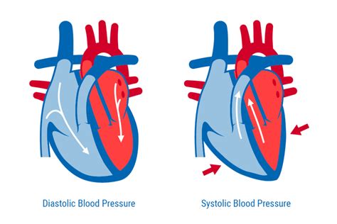 Systolic vs. Diastolic Blood Pressure - A&D Medical