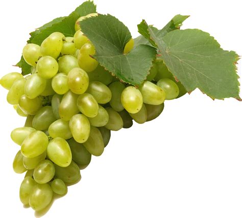 Green Grapes PNG Image - PurePNG | Free transparent CC0 PNG Image Library