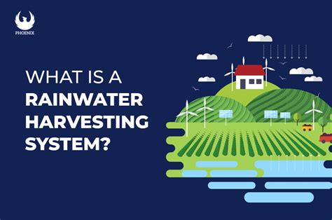 What are the main benefits of rainwater harvesting system? – Phoenix ...