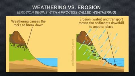 Erosion | Interactive Worksheet by Gregory Singleton | Wizer.me