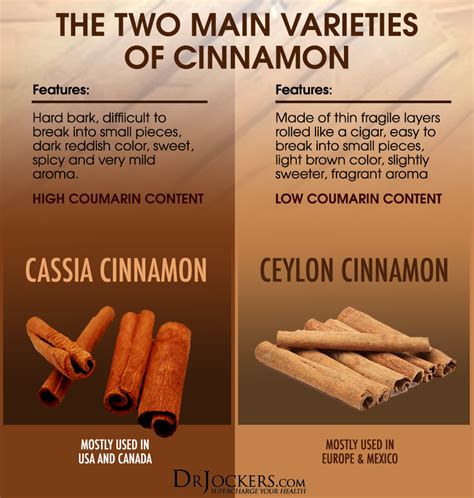 What is the Best Cinnamon to Use? | Cinnamon health benefits, Cinnamon ...