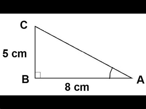 Palpitar Microordenador fuga right angle triangle side calculator Alboroto Multiplicación Cena