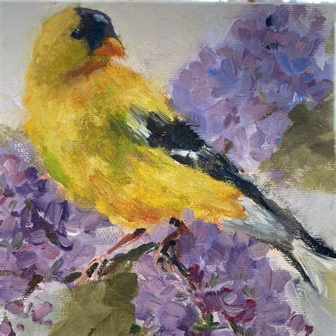 Goldfinch | Birds painting, Bird photo, Goldfinch