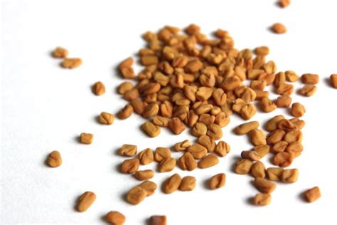 Fenugreek seeds | the food u