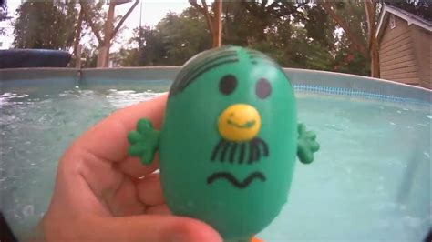 Mr. Persnickety on his day at the pool - YouTube