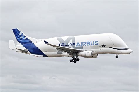 Meet the Boeing Dreamlifter and the Airbus Beluga - Flytrippers