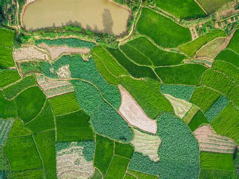 "Aerial Photography Bird-eye View Of Farm Farmland Nature Landsca" by ...