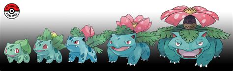 Pokemon Bulbasaur Evolution Chart